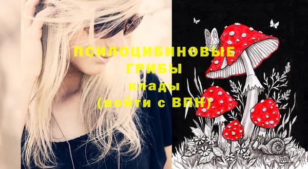 винт Богданович