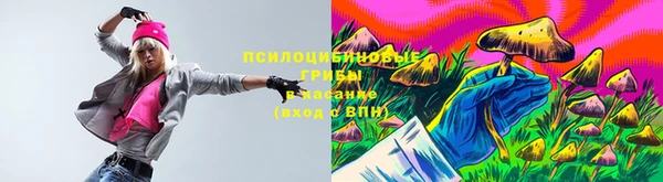 винт Богданович