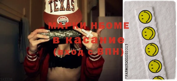 шишки Богородицк