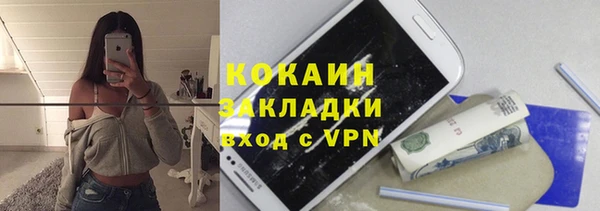 шишки Богородицк