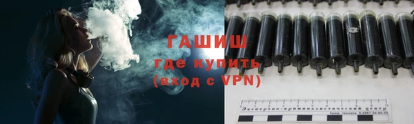 сатива Беломорск