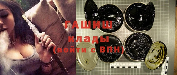 сатива Беломорск