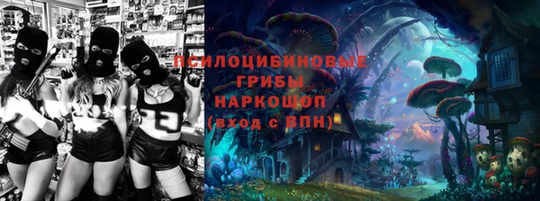винт Богданович