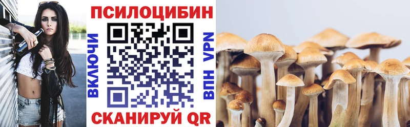 Псилоцибиновые грибы Magic Shrooms  Мирный 